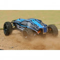 FTX Carnage Brushless Edition 1/10 Truck 4WD - RTR - FTX5543