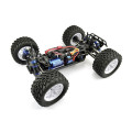 FTX Bugsta 4WD Brushless Offroad Buggy 1/10 - RTR