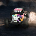 Rlaarlo AM-D12 1/12 Brushless Desert Buggy RTR - Paars