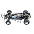 Tamiya Hornet EVO 1/10 2WD Buggy - Bouwpakket