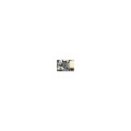 FrSky Archer Plus RS Mini Ontvanger 2.4Ghz ACCESS/ACCST