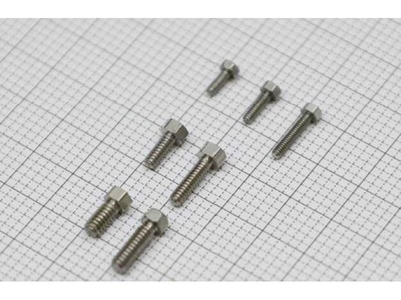 Lesu RVS Buitenzeskantschroeven M2 x 6mm, 1 stuk