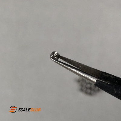 Scaleclub Stainless M1.6x5mm Micro Bolts with Nuts 