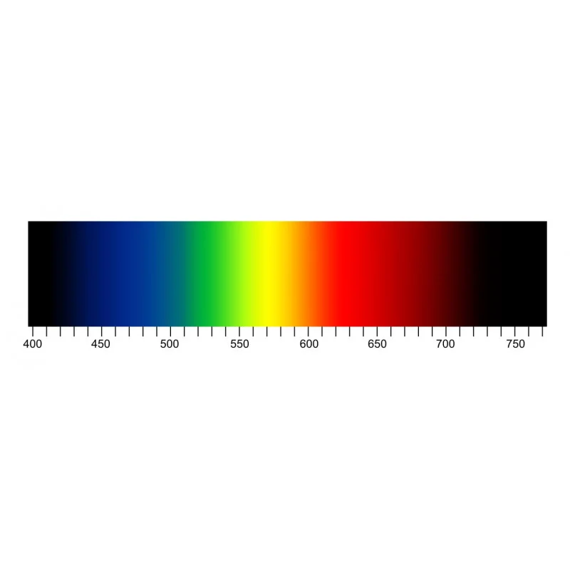 Worden Recensent Eigenwijs Wetronic | Losse LED's | 5mm | Warm Wit Flat Top 180 graden
